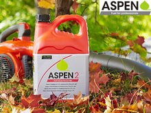 Load image into Gallery viewer, Aspen 2