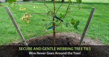 Load image into Gallery viewer, The Original Treestrap®