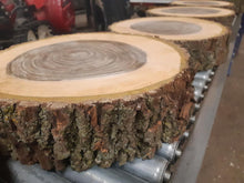 Load image into Gallery viewer, Tree Cookies