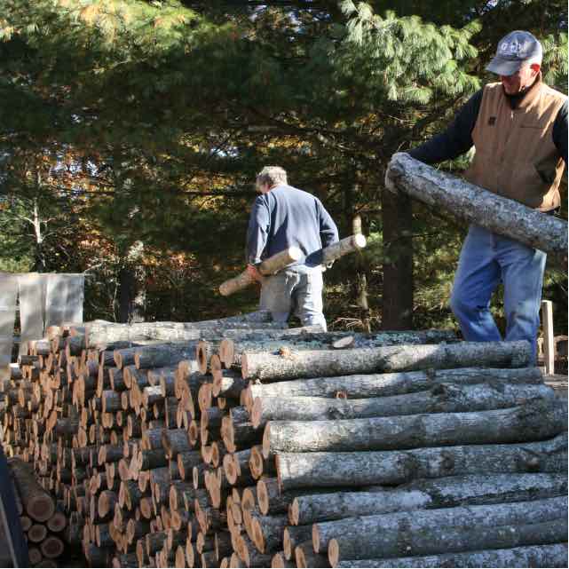 Log collecting