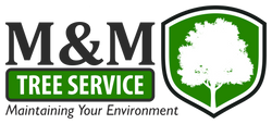 M & M Tree Service 